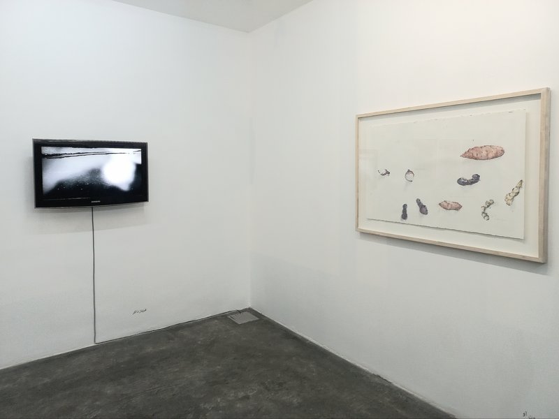 Still Point, installation view