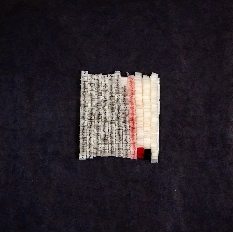 Afshan Daneshvar, Untitled, 2024