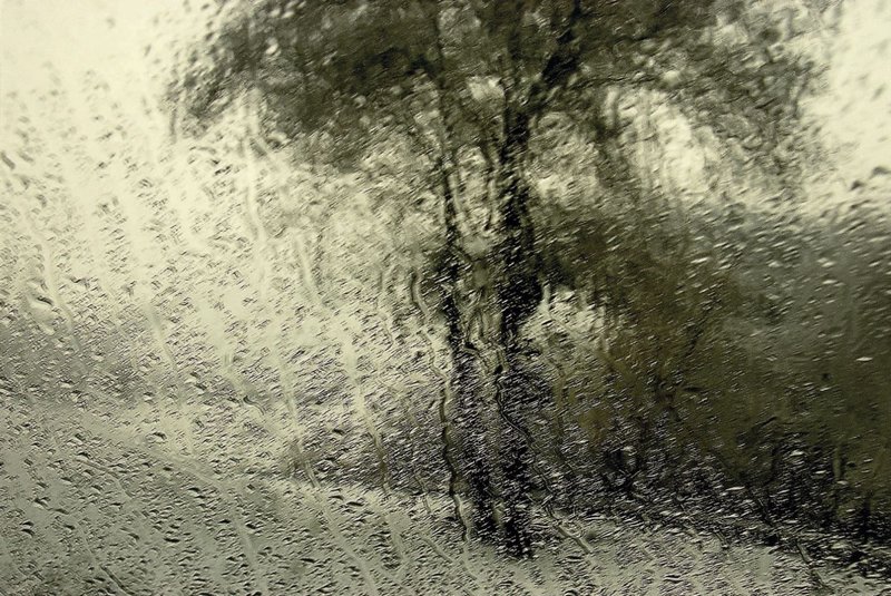 Abbas Kiarostami, Untitled, 2007