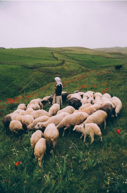 امیر بهروزی، بدون عنوان، 1394