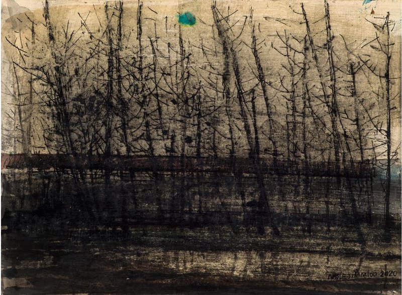 Abbas Nasleshamloo, The Land of No Sun 2, 2020