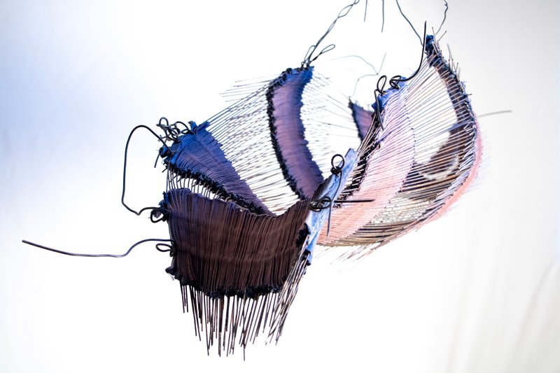 Hamidreza Farahnaki, Untitled, 2025