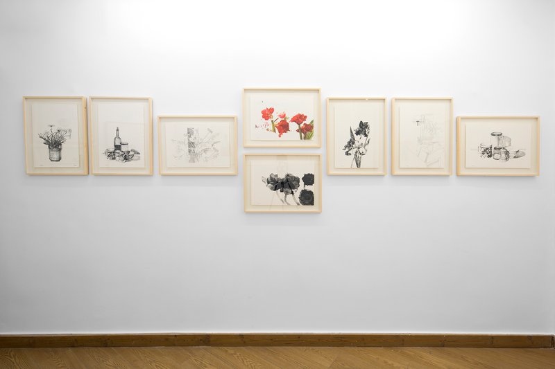 Third Series, installation view
