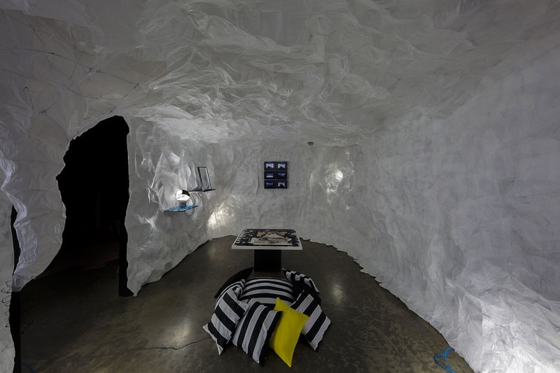 Tales of Interdisciplinia: The Curious Case of a Very Long Tail, installation view