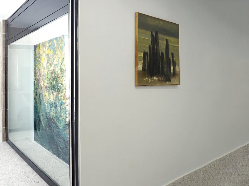 Shaped, installation view