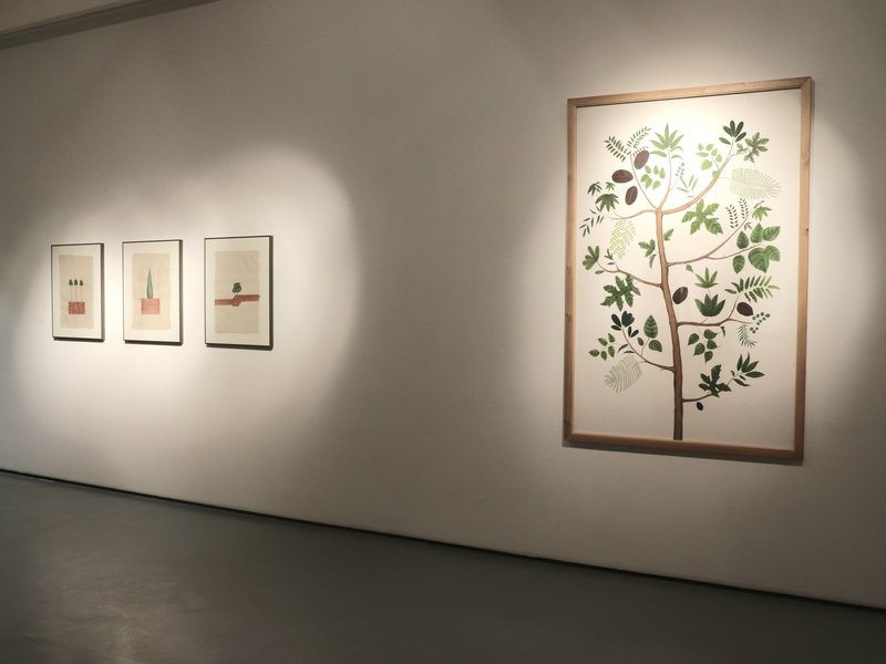 The Whispering Green, installation view
