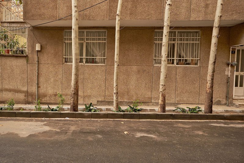 Alireza Fani, Untitled, 2016