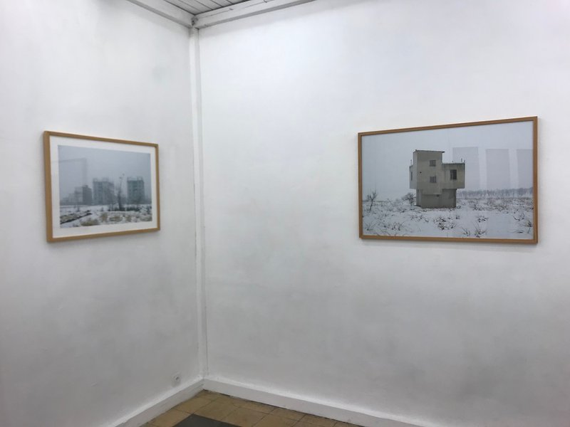 Ag Talent, installation view