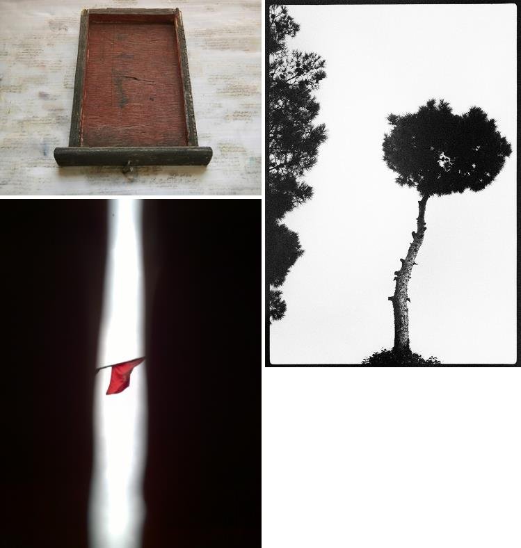 مهران مهاجر