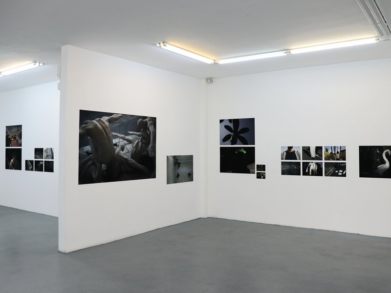 Pulse, installation view