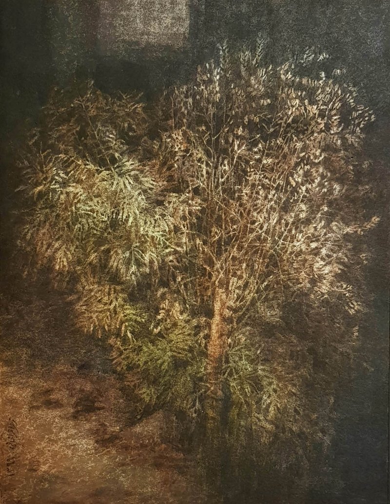 Zahra QaraKhani, Surviving Tree Sichan Neighborhood Isfahan, 2021