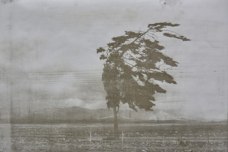 Babak Kazemi, Untitled, 2019