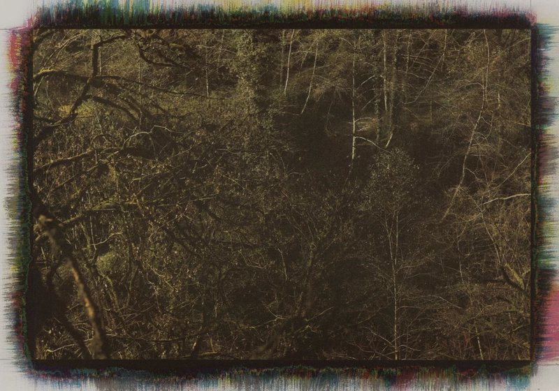 Mehrali Razaghmanesh, Untitled, 2020