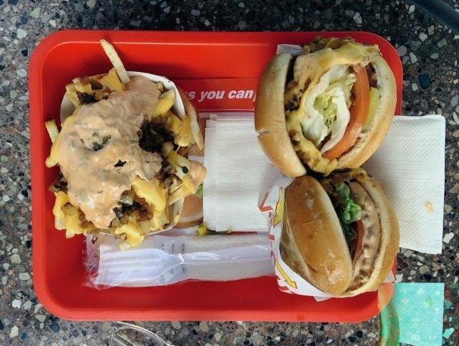 Arash Fayez, Cheeseburgers and Fries, 2017