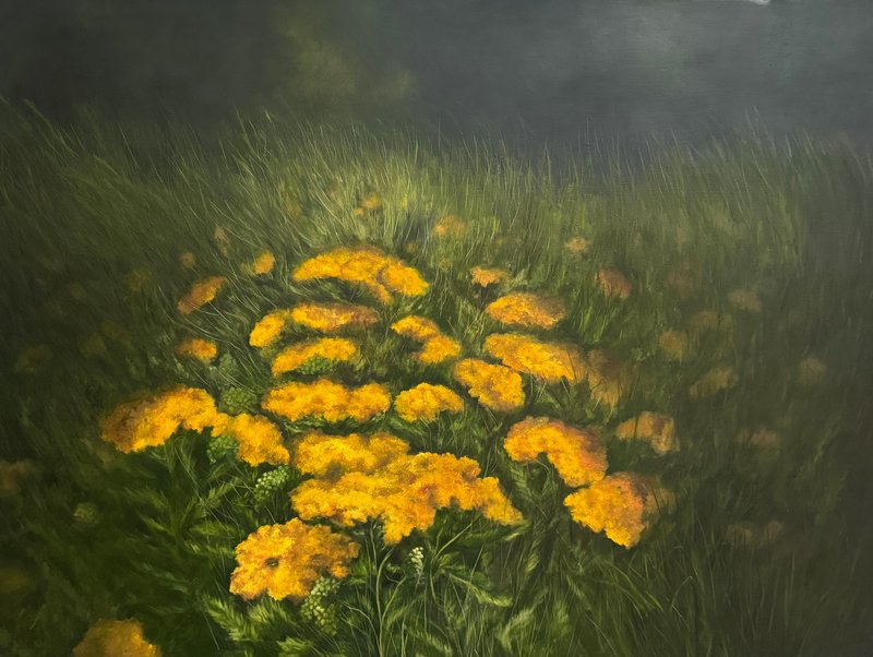 Sara Khaleghi, Untitled, 2025