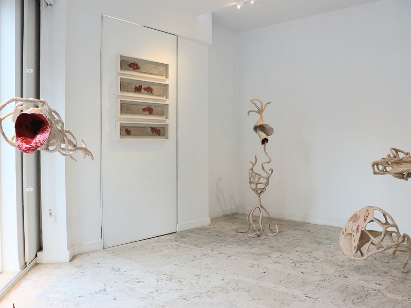 Maturation, installation view