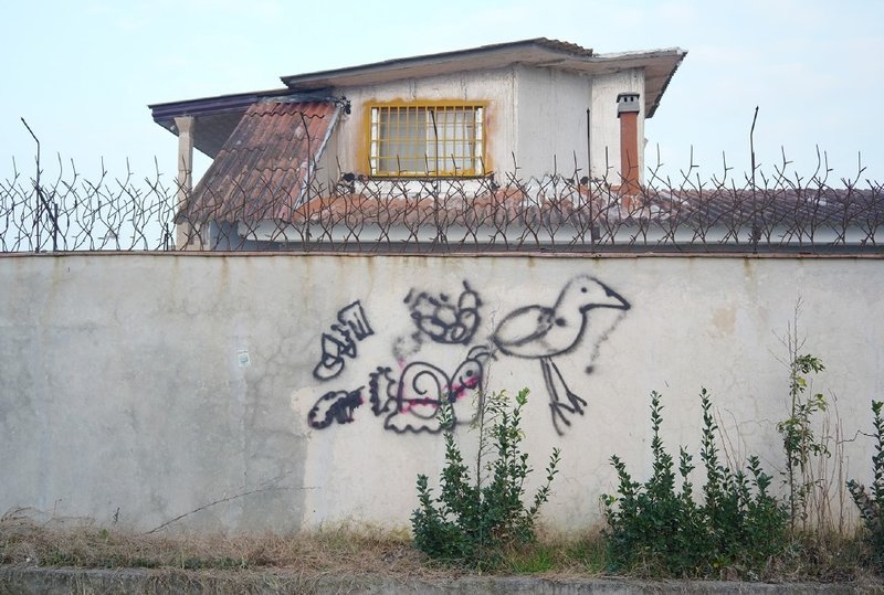 Fojan Parsa, Untitled, 2022