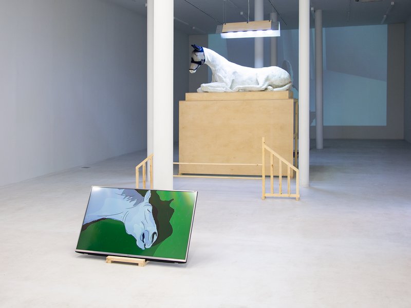 Rest, installation view