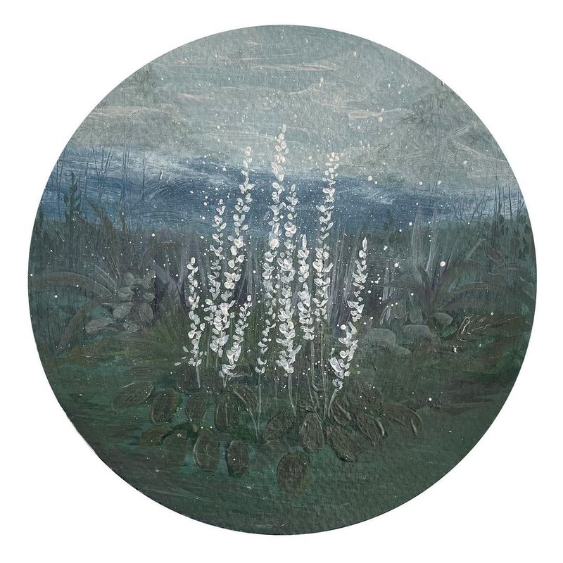 Samaneh Abri, Untitled, 0