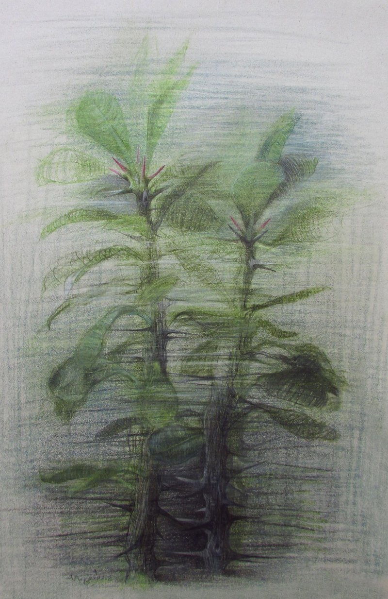 Abbas Latifi, Untitled, 2019