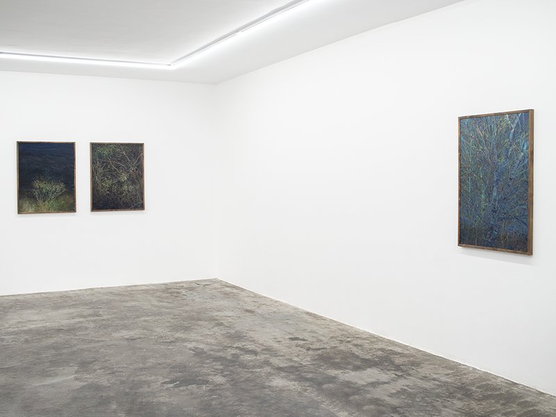 Shazdeh’s Garden, installation view
