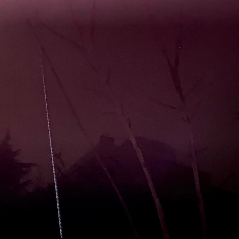 Kimia Askarian, Untitled, 2023