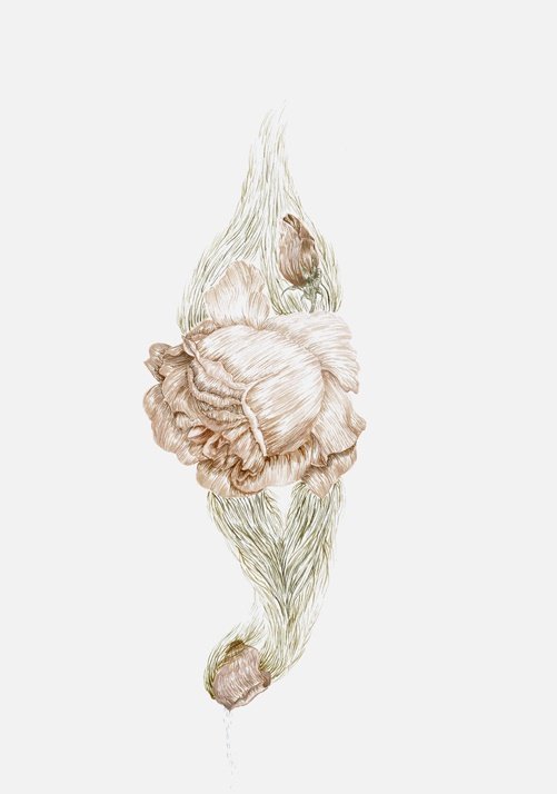 Sale Sharifi, Untitled, 2014