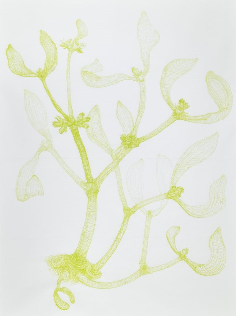 Beth Collar, Primordial Yuppies (male flowers), 2023