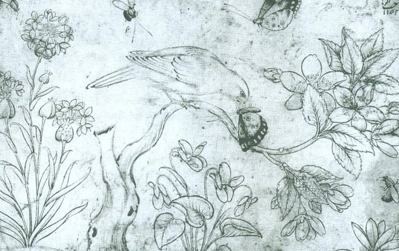 Shafie Abbasi, Flowers and chickens, insects, 1845