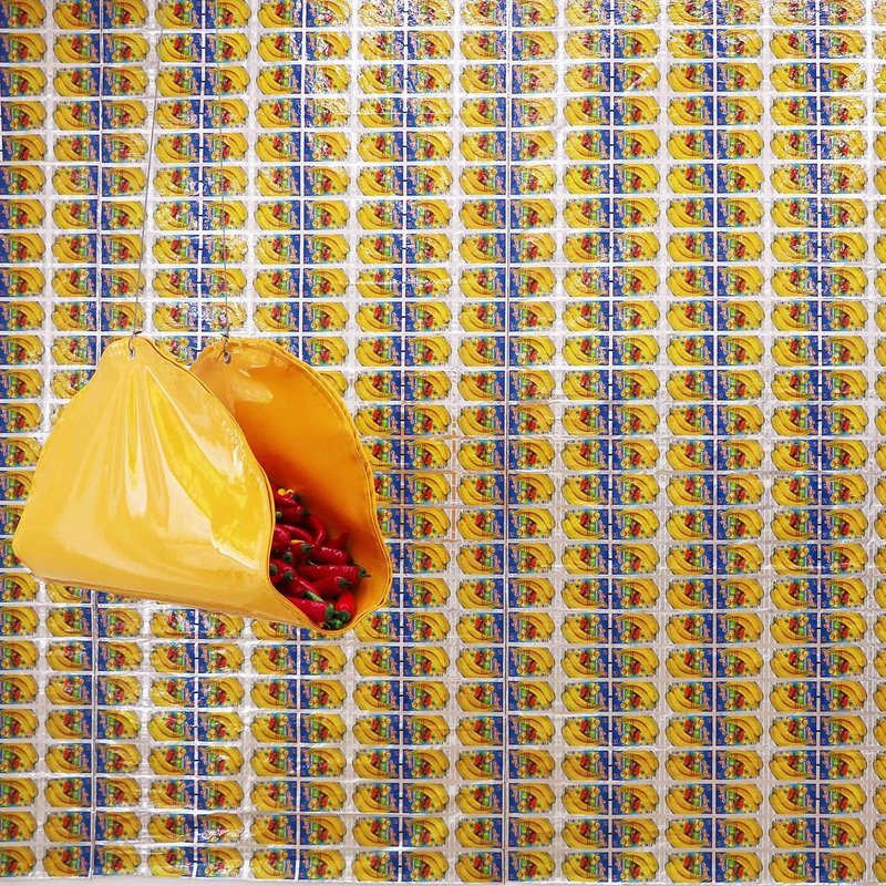 Alidad Jalali, Arrogant Taco, 2018