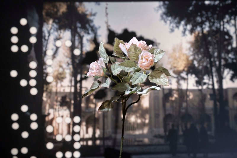Amir Habibi, Postcards from Home, 2026