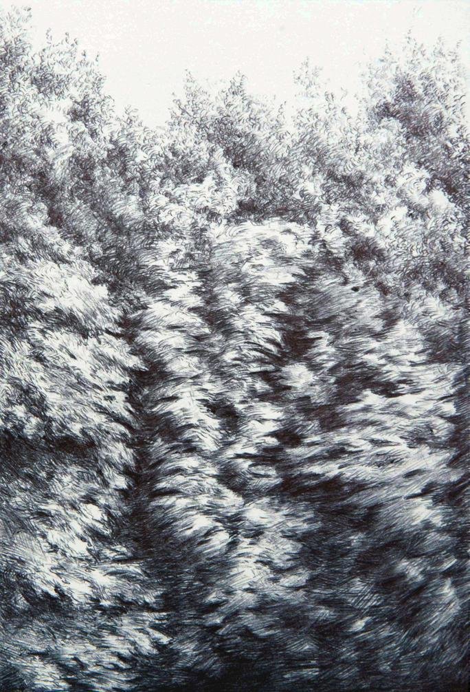 Mahsa Arabzadeh, Untitled, 2021