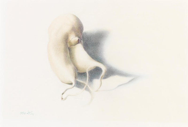 Parvaneh Etemadi, Untitled, 1985