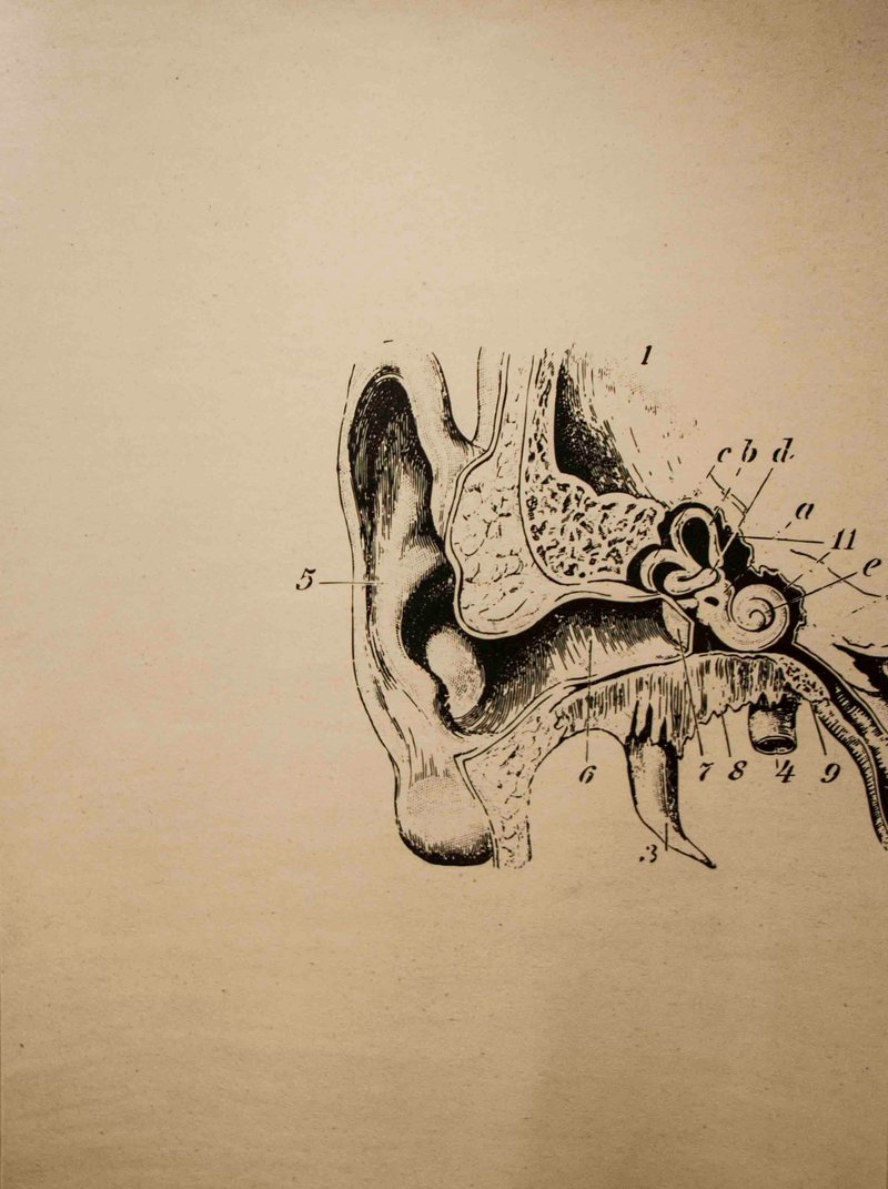 Ghazaleh Avarzamani, Eengeeleesee 1, 2014