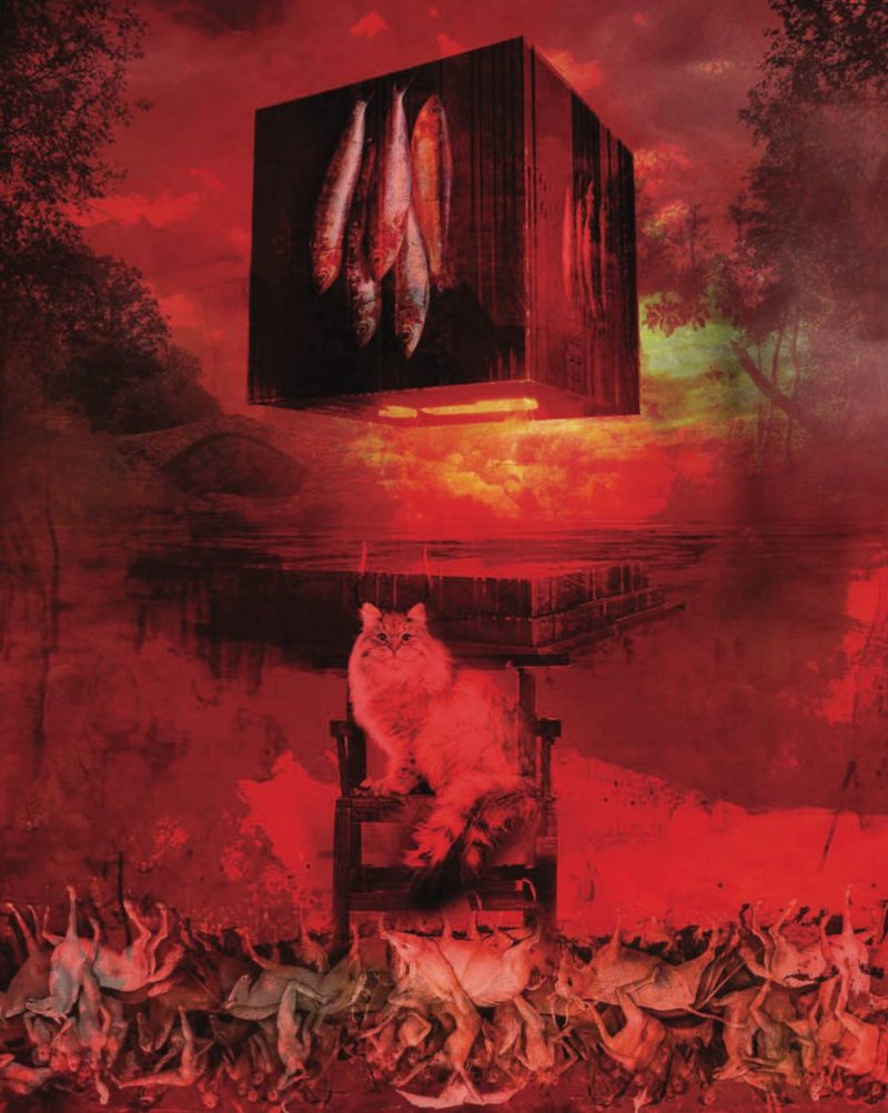 Hamoon Alipoor, Untitled, 0