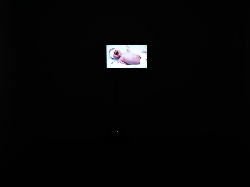 No Past, No Present, No Future, installation view