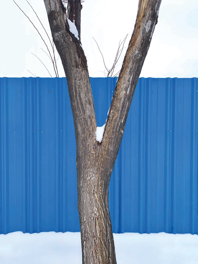 Nasim Razmazar, Untitled, 2019