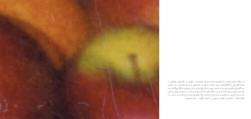 Nastaran Fotouhi, Untitled, 2025