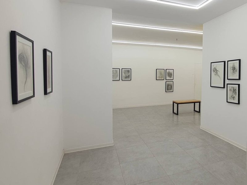 رویش، نمای چیدمان