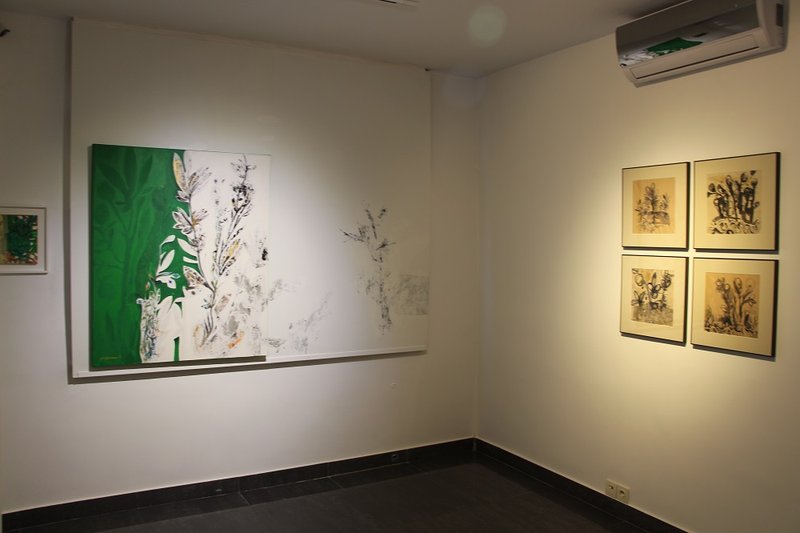 سپید هنگام روییدن، نمای چیدمان