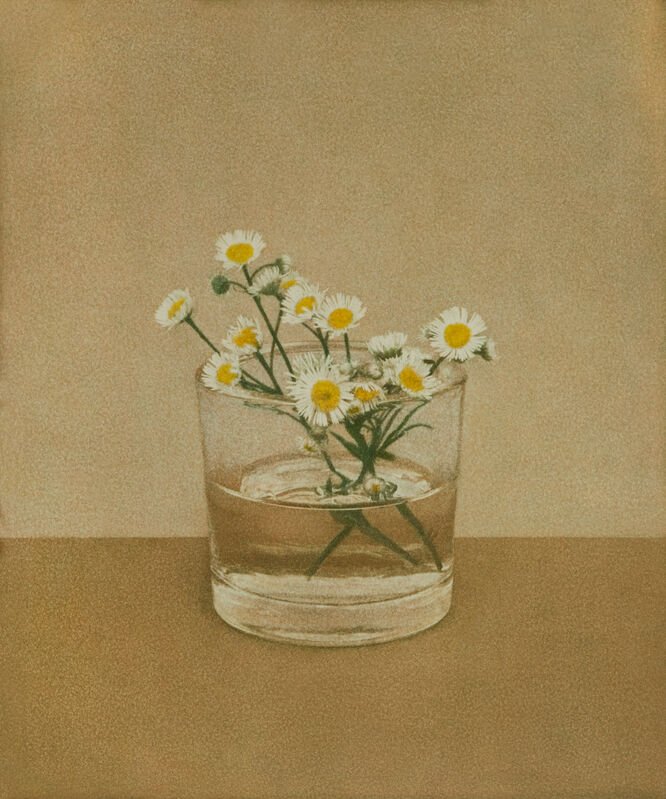 kim sookang, Daisy Fleabane, 2023