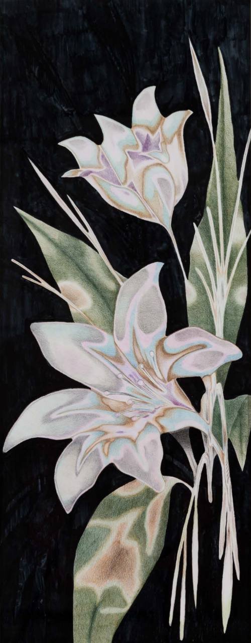 Vanoosheh Kazemian, Untitled, 2024
