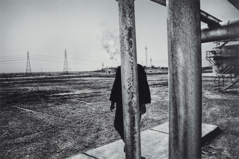 Babak Kazemi, A Report For d'Arcy, 0