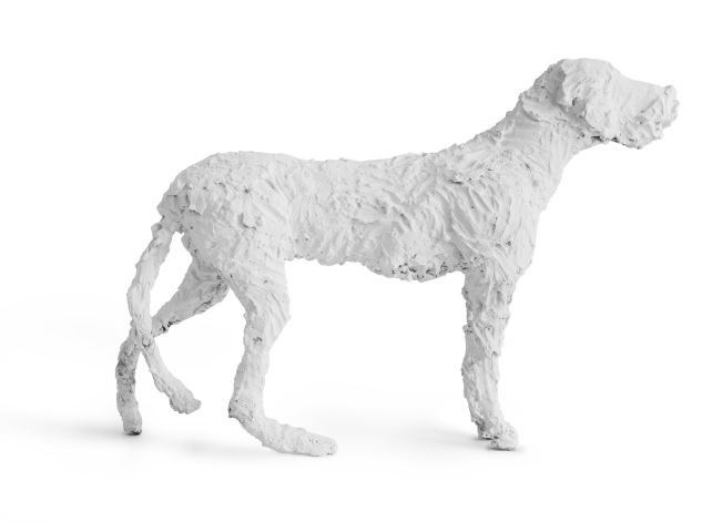 Bita Fayyazi, Dog, 2024