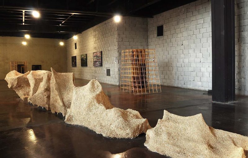 Neurovironment, installation view