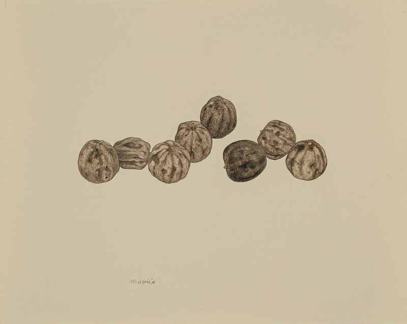 Afsaneh Moradi, Untitled, 2022