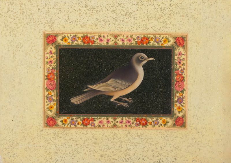 Nazi Azimi, The Bird of Dawn (Morg-e-Sahar), 2021