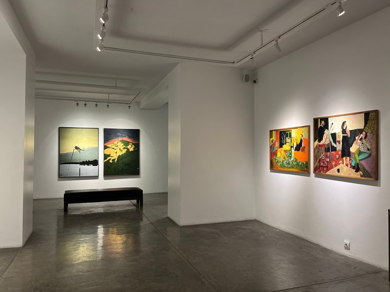 Montakhab-E- Nasle No 15, installation view