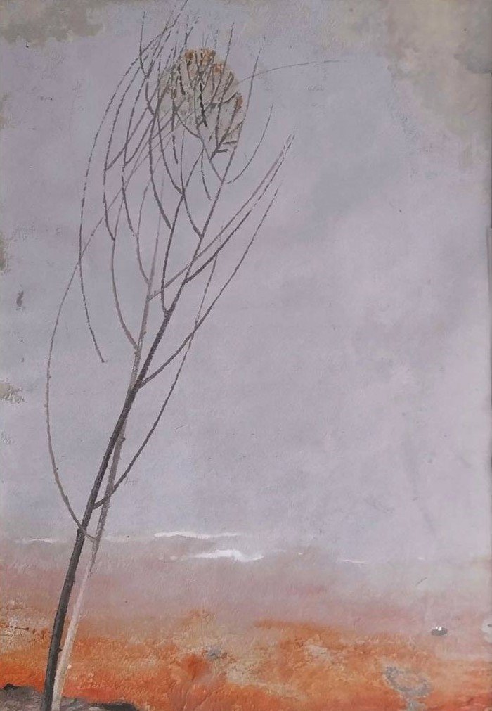 Rezvan Sadeghzadeh, Untitled, 0