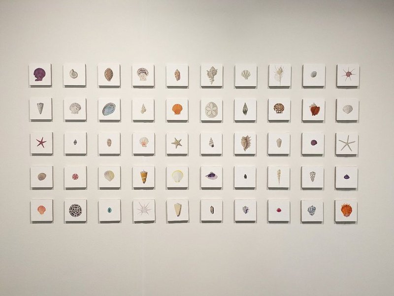 Installation view.